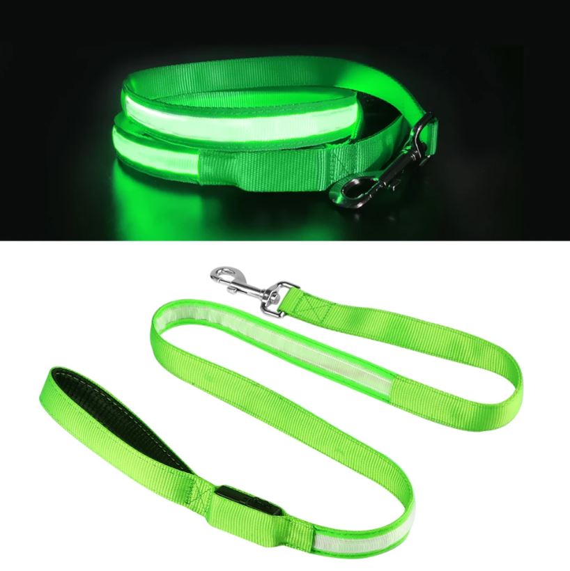 Correa LED para Paseos Nocturnos – Seguridad y Estilo