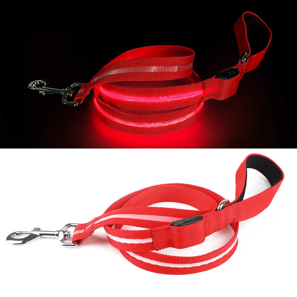 Correa LED para Paseos Nocturnos – Seguridad y Estilo