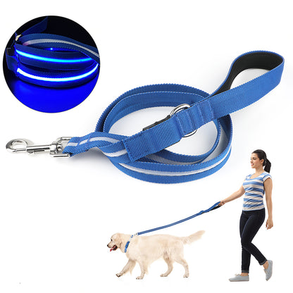 Correa LED para Paseos Nocturnos – Seguridad y Estilo